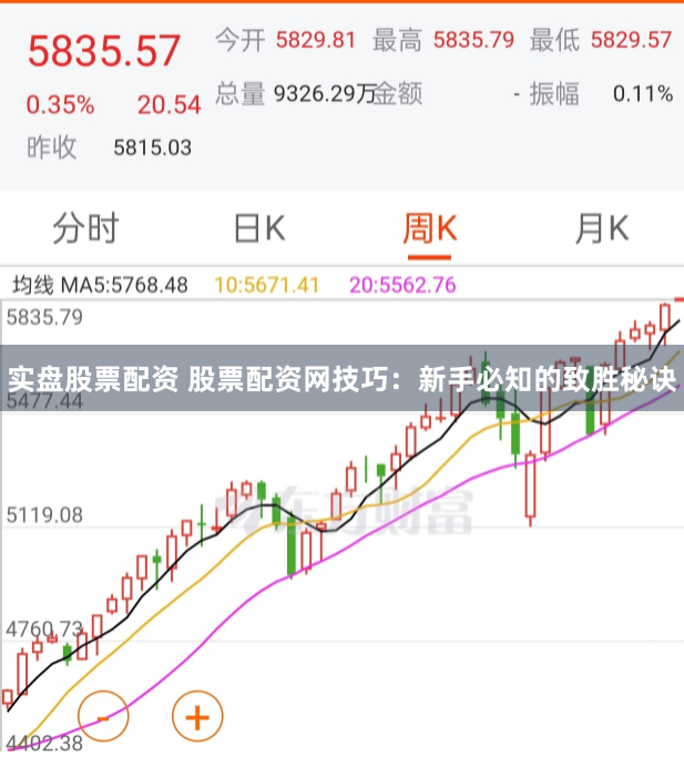 实盘股票配资 股票配资网技巧：新手必知的致胜秘诀